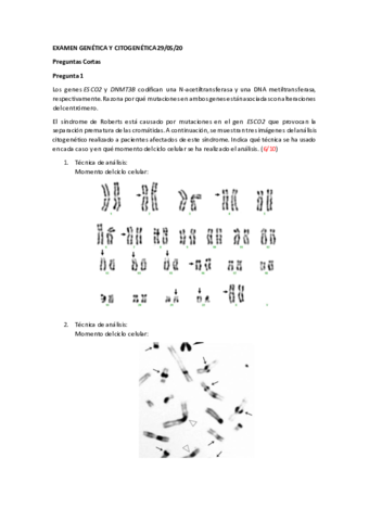 Examen-Citogenetica-2020-Cuestiones.pdf