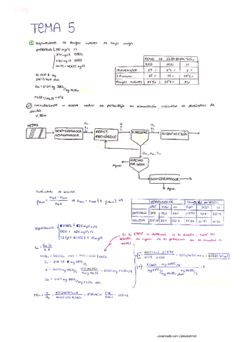 ING-AMB-Problemas-tema-5.pdf