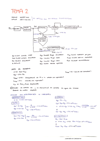ING-AMB-Problemas-tema-2.pdf