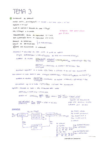 ING-AMB-Problemas-tema-3.pdf