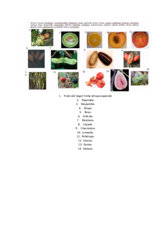 Modeloexamenfinal.pdf