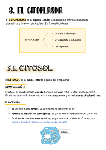 tema-7-apuntillos.pdf