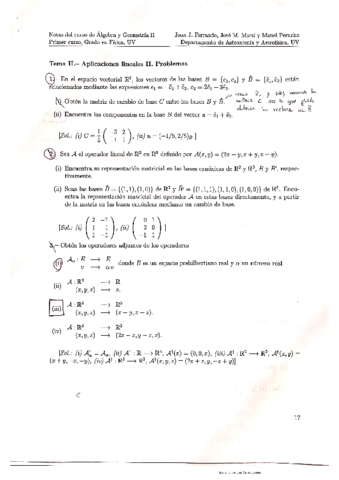 AyGII-T2.pdf