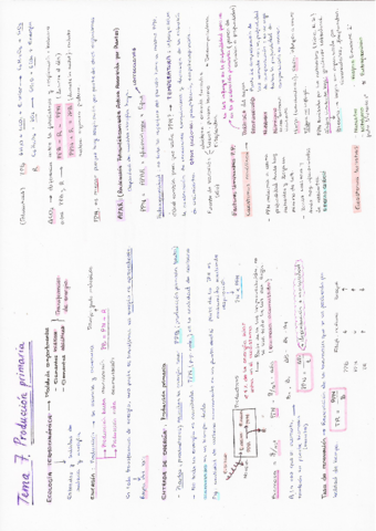 Resumen-y-ejercicios-ecologia.pdf