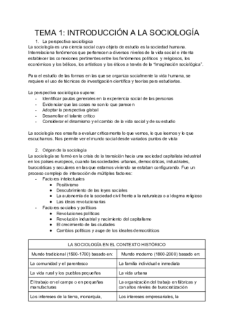 SOCIOLOGIA-COMPLETO.pdf