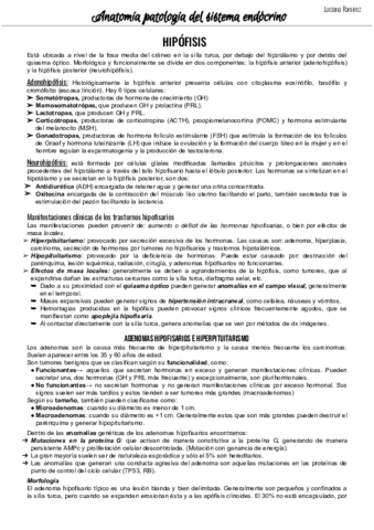Endocrino-injuria.pdf