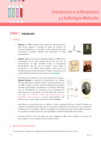 IBQyBM-temas-1-2.pdf