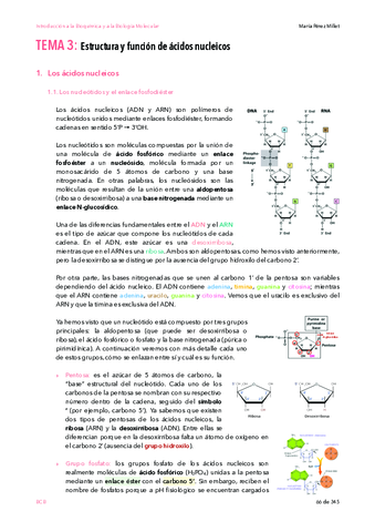 IBQyBM-temas-3-4.pdf
