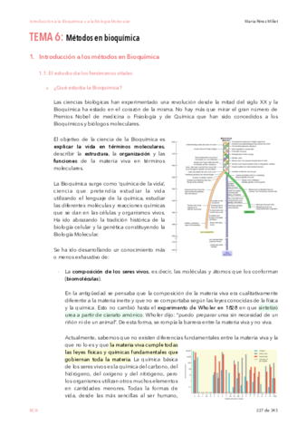 IBQyBM-t6.pdf