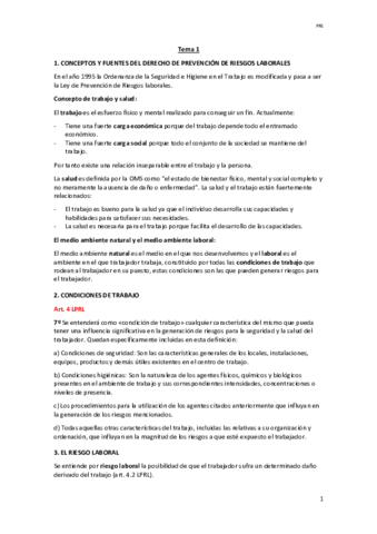 Tema-1-PRL-RESUMIDO.pdf