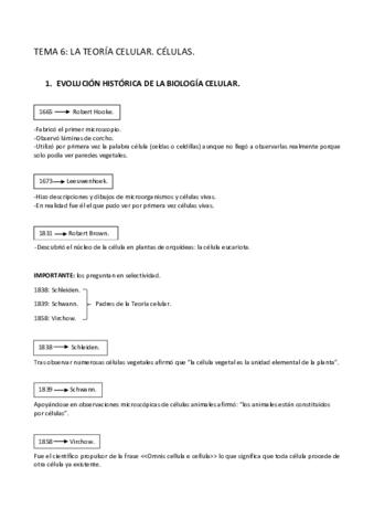 TEMA-6.pdf