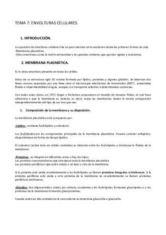TEMA-7.pdf