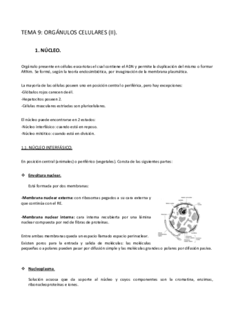 TEMA-9.pdf