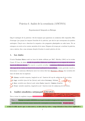 Practica6-5.pdf