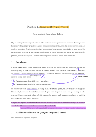 Practica4-2.pdf