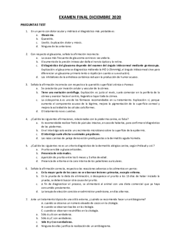 EXAMEN-FINAL-DICIEMBRE-2020.pdf