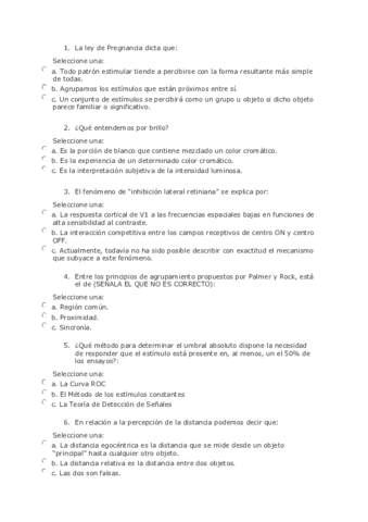 Parcial-percepcion.pdf