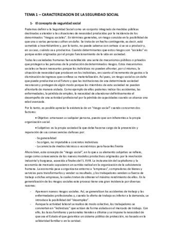 TEMA 1 - seguridad social.pdf