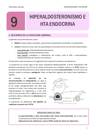 TEMA-9-ENDOCRINO.pdf