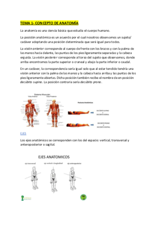 Anatomia-Curso-entero.pdf