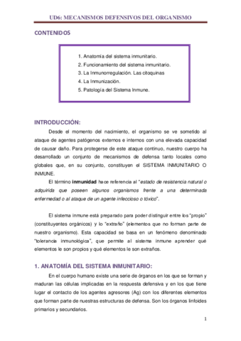 UD6.pdf