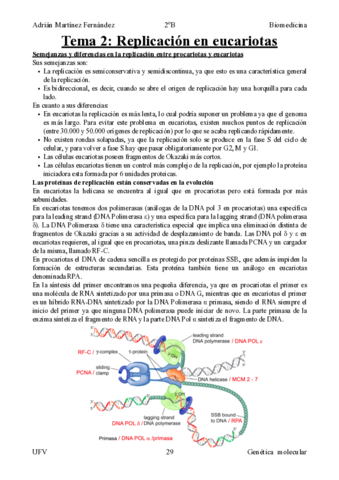 Tema-2-Replicacion-en-eucariotas-.pdf