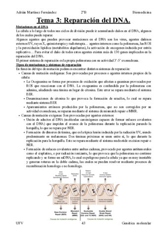 Tema-3-Reparacion-del-DNA.pdf