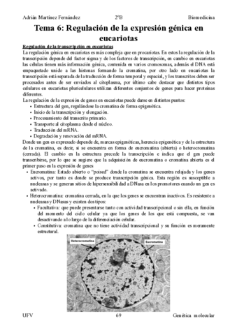 Tema-6 y 7 Regulacion-expresion-genica.pdf