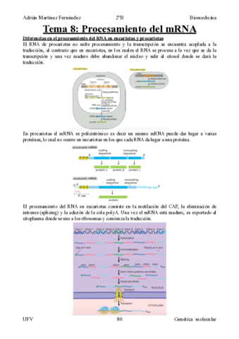 Tema-8-Procesamiento-mRNA.pdf