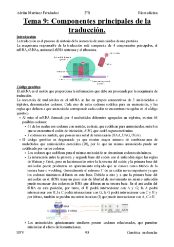Tema-9-Componentes-principales-de-la-traduccion.pdf