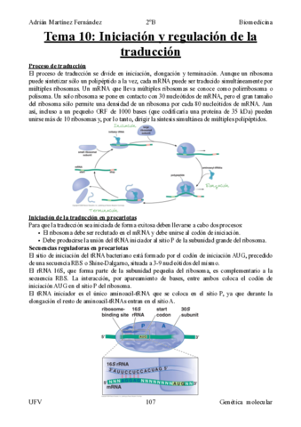 Tema-10-Iniciacion-y-regulacion-de-la-traduccion.pdf