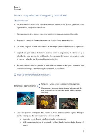 Tema-5.pdf