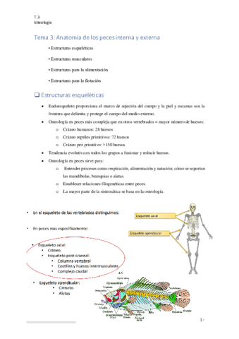 TEMA-3.pdf