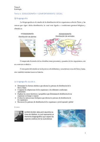 Tema-6.pdf