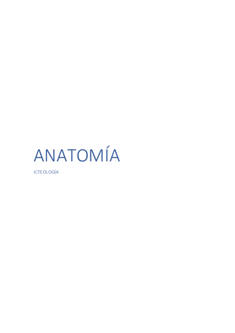 ANATOMIA.pdf