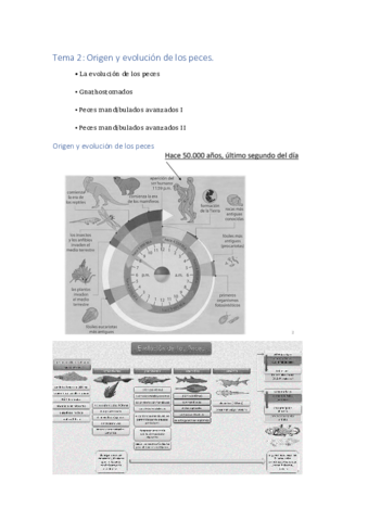 Tema-2.pdf