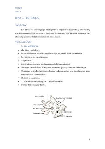 Tema-3-Protozoos.pdf