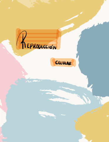 Reproduccion-Celular.pdf