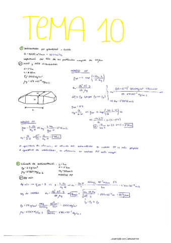 ING-AMB-Problemas-tema-10.pdf