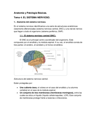 Tema-4-APB.pdf