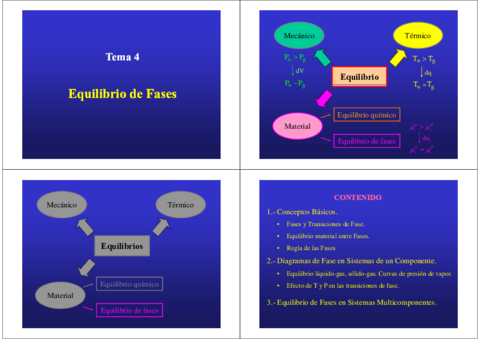 Tema-4Equilibrio-de-fasescampus-virtual.pdf