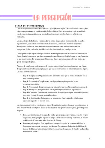 La-Percepcion.pdf