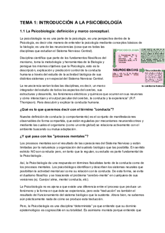 Tema-1.pdf