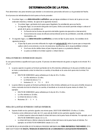 DETERMINACION-DE-LA-PENA.pdf