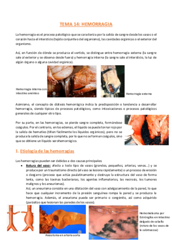 TEMA-14-Anatomia-Patologica-General.pdf