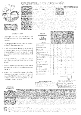 Cuadernillo Anotacion DST-J.pdf