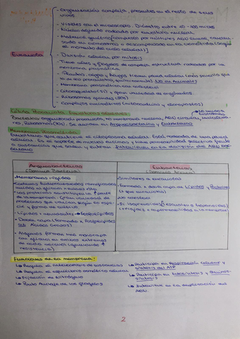 apuntes-2.jpg