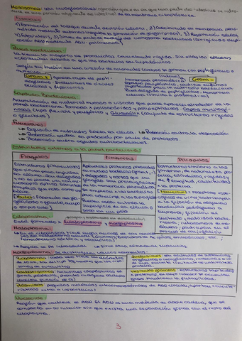 apuntes-3.jpg