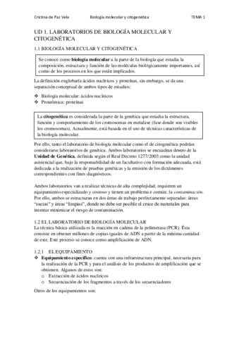 TEMA-1.pdf