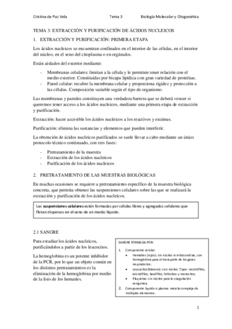TEMA-3.pdf